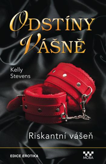 Riskantní vášeň - Kelly Stevens - e-kniha