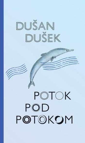 Potok pod potokom - Dušek Dušan