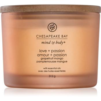 Chesapeake Bay Candle Mind & Body Love & Passion vonná svíčka I. 312 g