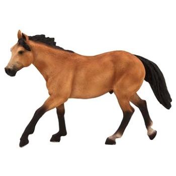 Mojo - Kůň Quarter horse plavý (5031923871212)