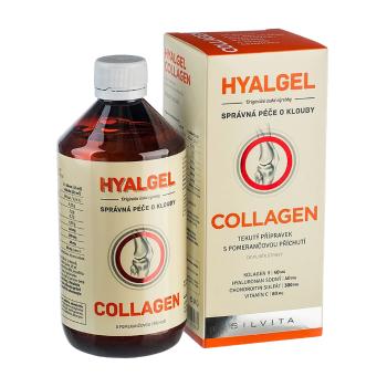 Silvita Hyalgel COLLAGEN 500 ml