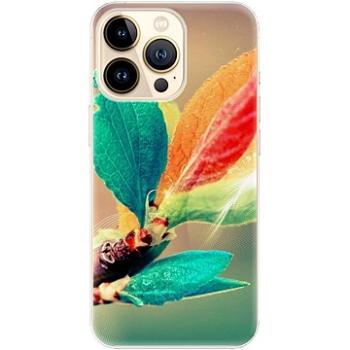 iSaprio Autumn 02 pro iPhone 13 Pro (aut02-TPU3-i13p)