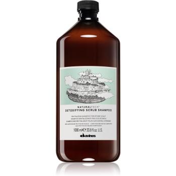 Davines Naturaltech Detexifying šampon pro citlivou a podrážděnou pokožku hlavy 1000 ml