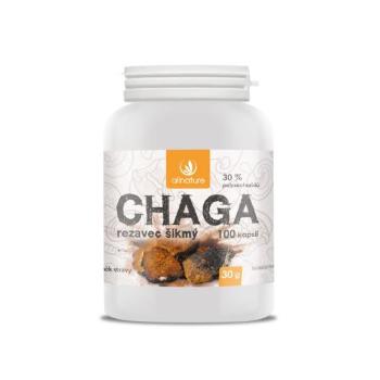 Allnature Chaga Rezavec šikmý 100 kapslí