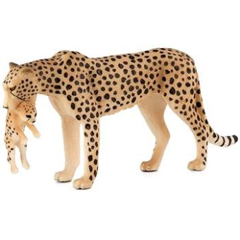 Mojo - Gepard samice s mládětem (5031923871670)