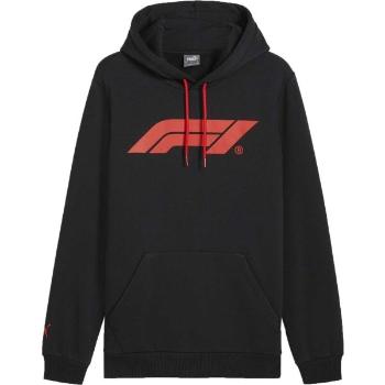 Puma F1 ESSENTIALS LOGO HOODIE Pánská mikina, černá, velikost