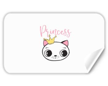 Samolepky obdelník - 5 kusů Princess