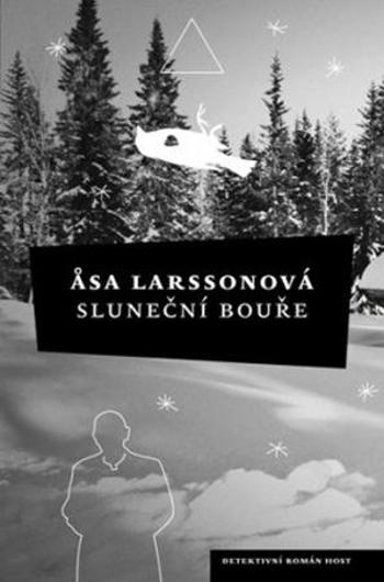 Sluneční bouře - Larssonová Asa