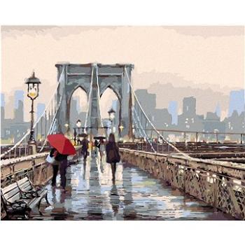 Malování podle čísel - Procházka po Brooklyn Bridge (Richard Macneil) (HRAbz33148nad)