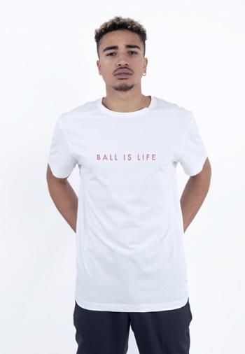 Cayler & Sons C&S WL Ball Is Life Tee white/mc - S