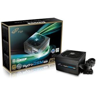 FSP Fortron HYDRO GSM Lite PRO 650 (PPA6505801)