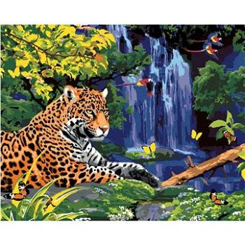 Malování podle čísel - Jaguár u vodopádu a papoušci (Howard Robinson) (HRAbz33474nad)