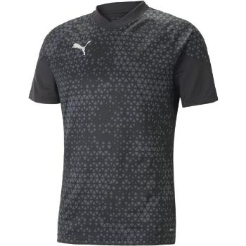 Puma TEAMCUP TRAINING JERSEY TEE Pánský dres, černá, velikost