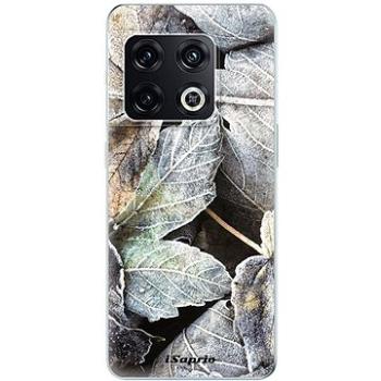iSaprio Old Leaves 01 pro OnePlus 10 Pro (oldle01-TPU3-op10pro)