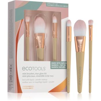 EcoTools Glow Collection Max Glow sada mini štetců