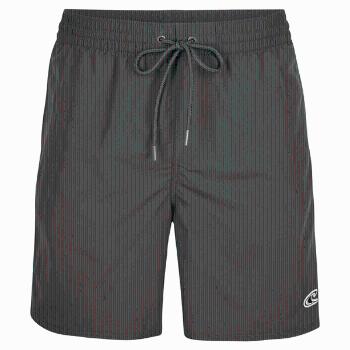 O'Neill VERT SHORTS Pánské šortky do vody, šedá, velikost XS