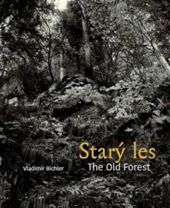 Starý les / The Old Forest - Bichler Vladimír
