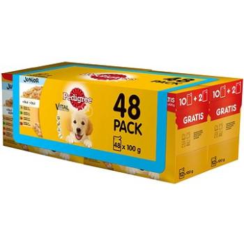 Pedigree kapsička pro štěňata masový výběr s rýží v želé 48 x 100g (5900951240089)