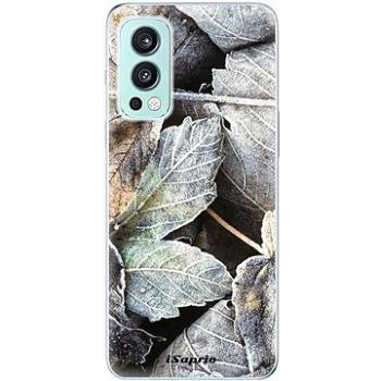 iSaprio Old Leaves 01 pro OnePlus Nord 2 5G (oldle01-TPU3-opN2-5G)