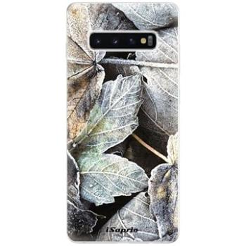 iSaprio Old Leaves 01 pro Samsung Galaxy S10+ (oldle01-TPU-gS10p)
