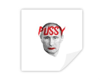 Samolepky hranatý čtverec Pussy Putin
