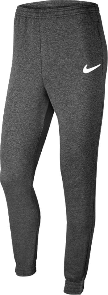 NIKE PARK 20 FLEECE PANTS CW6907-071 Velikost: L