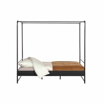 Postel Bunk