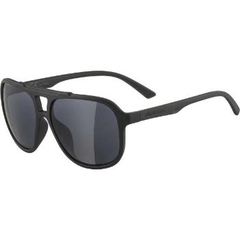 Alpina Sports SNAZZ Lifestylové brýle, černá, velikost UNI