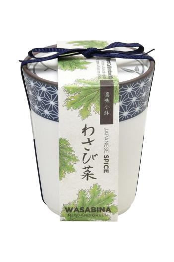 Noted sada pro pěstování rostlin Yakumi, Wasabina