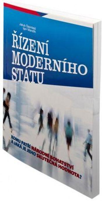 Řízení moderního státu - Šteinfeld Jakub