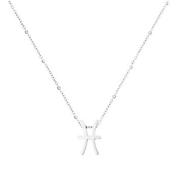 Šperky4U Ocelový náhrdelník znamení ryby - OPD0263-12