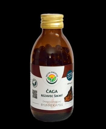 Salvia Paradise Čaga - chaga - rezavec šikmý 120 kapslí