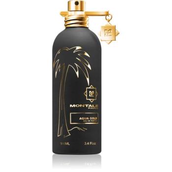 Montale Aqua Gold parfémovaná voda unisex 100 ml