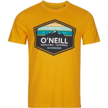 O'Neill MTN HORIZON T-SHIRT Pánské tričko, oranžová, velikost XL