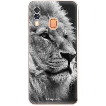 iSaprio Lion 10 pro Samsung Galaxy A40 (lion10-TPU2-A40)