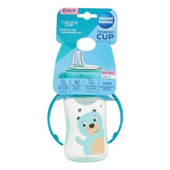 Canpol babies Cute Animals Training Cup Bear 320 ml hrneček pro děti