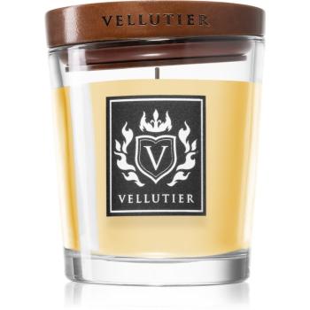 Vellutier Madagascar Adventure vonná svíčka 90 g