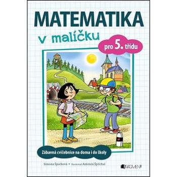 Matematika v malíčku pro 5. třídu: Zábavné cvičení na doma i do školy (978-80-253-3250-4)