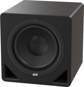 ESI aktiv 10s Studiový subwoofer