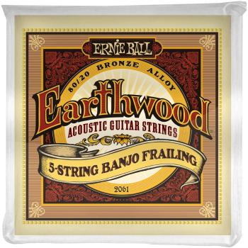 Ernie Ball Earthwood 80/20 Bronze Banjo Frailing