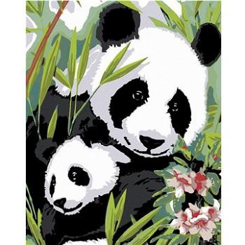 Diamondi - Diamantové malování - PANDA S MLÁDĚTEM, 40x50 cm, bez rámu a bez vypnutí plátna (602040A)