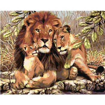 Malování podle čísel - Lev s lvicí a lvíčetem (HRAmal00664nad)