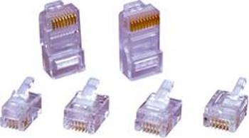 Zástrčka, rovná encitech 6510-0104-05, RJ50 RJ48-10P10CR, transparentní, 1 ks