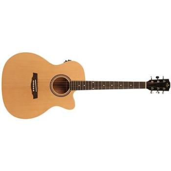 Prodipe Guitars SA25 CEQ (30289)