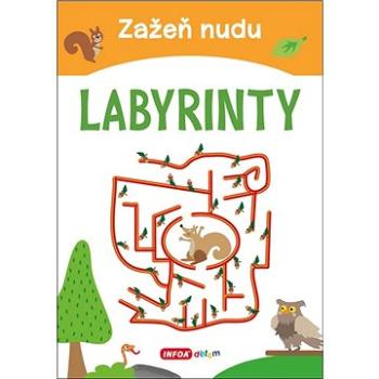 Zažeň nudu Labyrinty (978-80-7547-462-9)