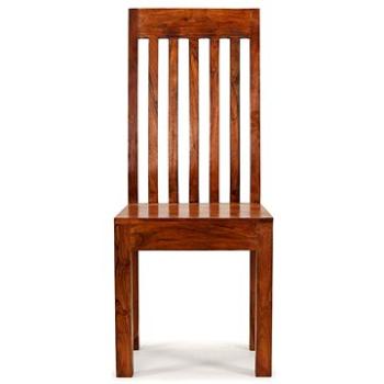 Jídelní židle 2 ks masiv sheeshamový povrch moderní styl (245645)