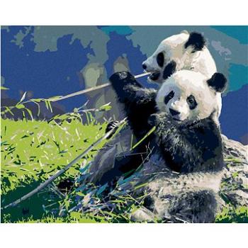 Diamondi - Diamantové malování - PANDA A BAMBUS, 40x50 cm, Vypnuté plátno na rám (606972B)