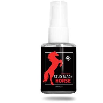 STUD BLACK HORSE NA ODDÁLENÍ PRO MUŽE 50ML (7)