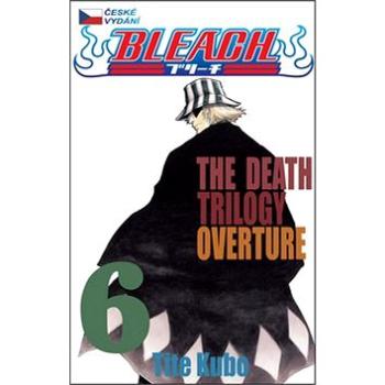 Bleach 6 (978-80-7449-136-8)