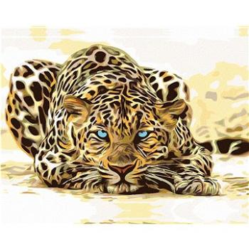 Malování podle čísel - Číhající leopard (HRAmal00304nad)